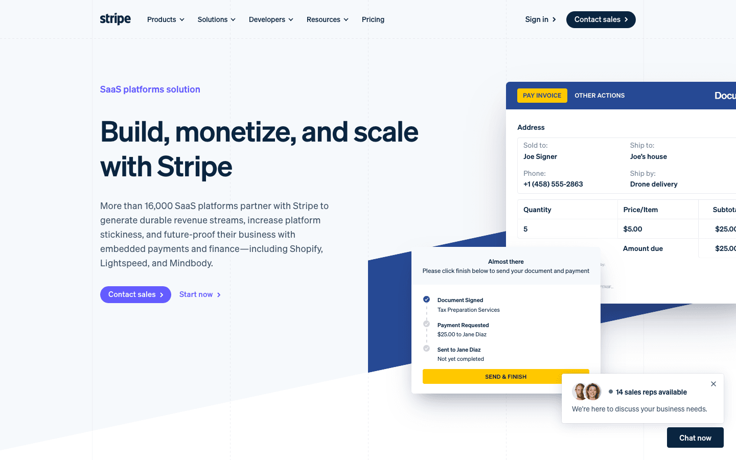 Stripe: Platforms