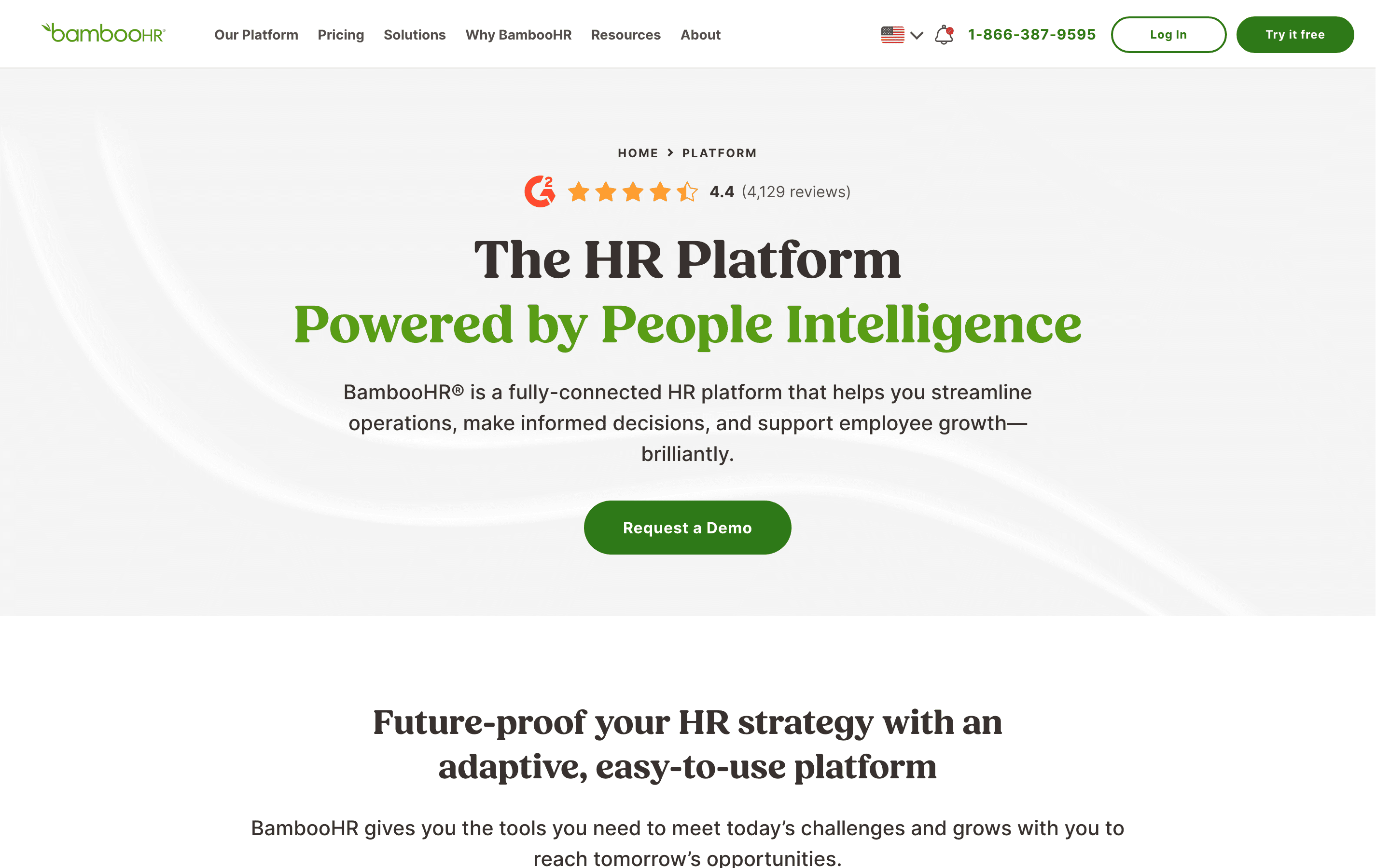 BambooHR: Platform