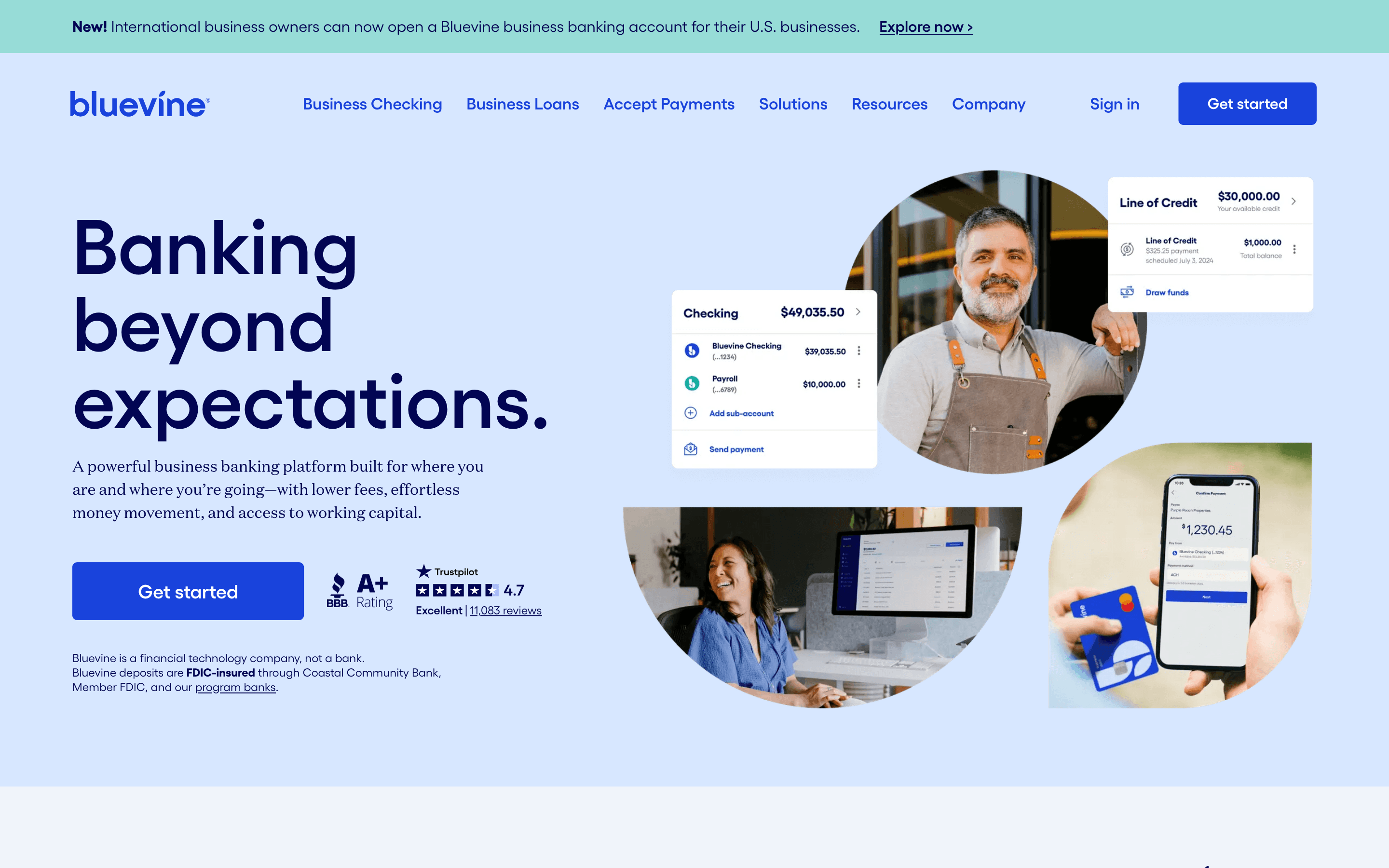 Bluevine homepage