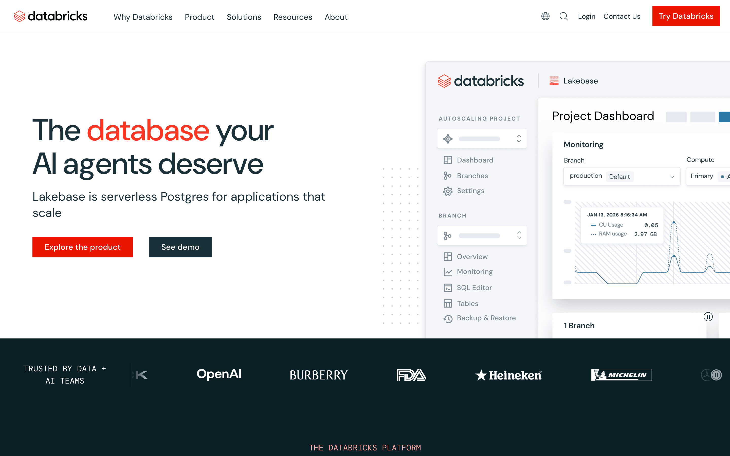Databricks homepage