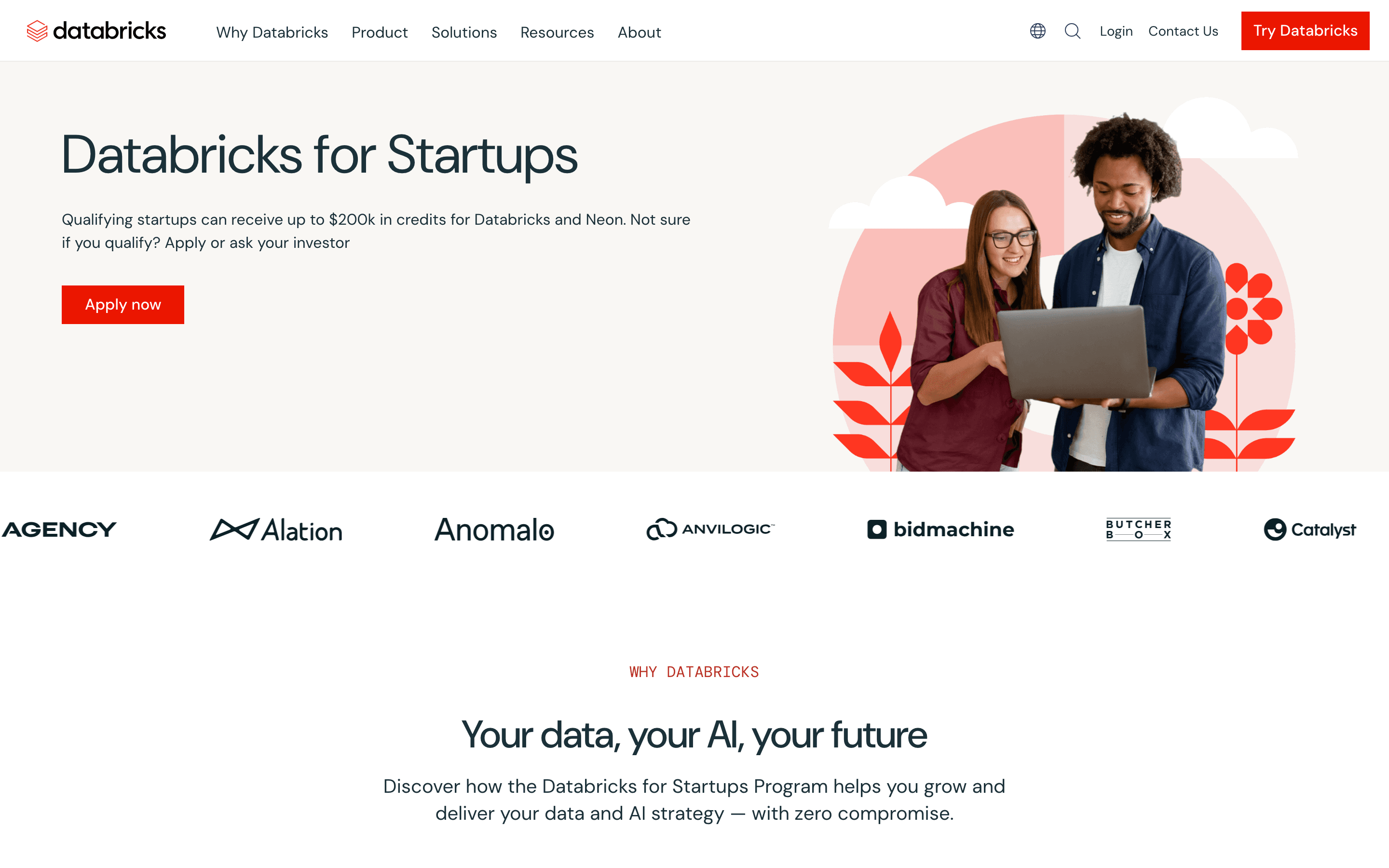 Databricks: Startups