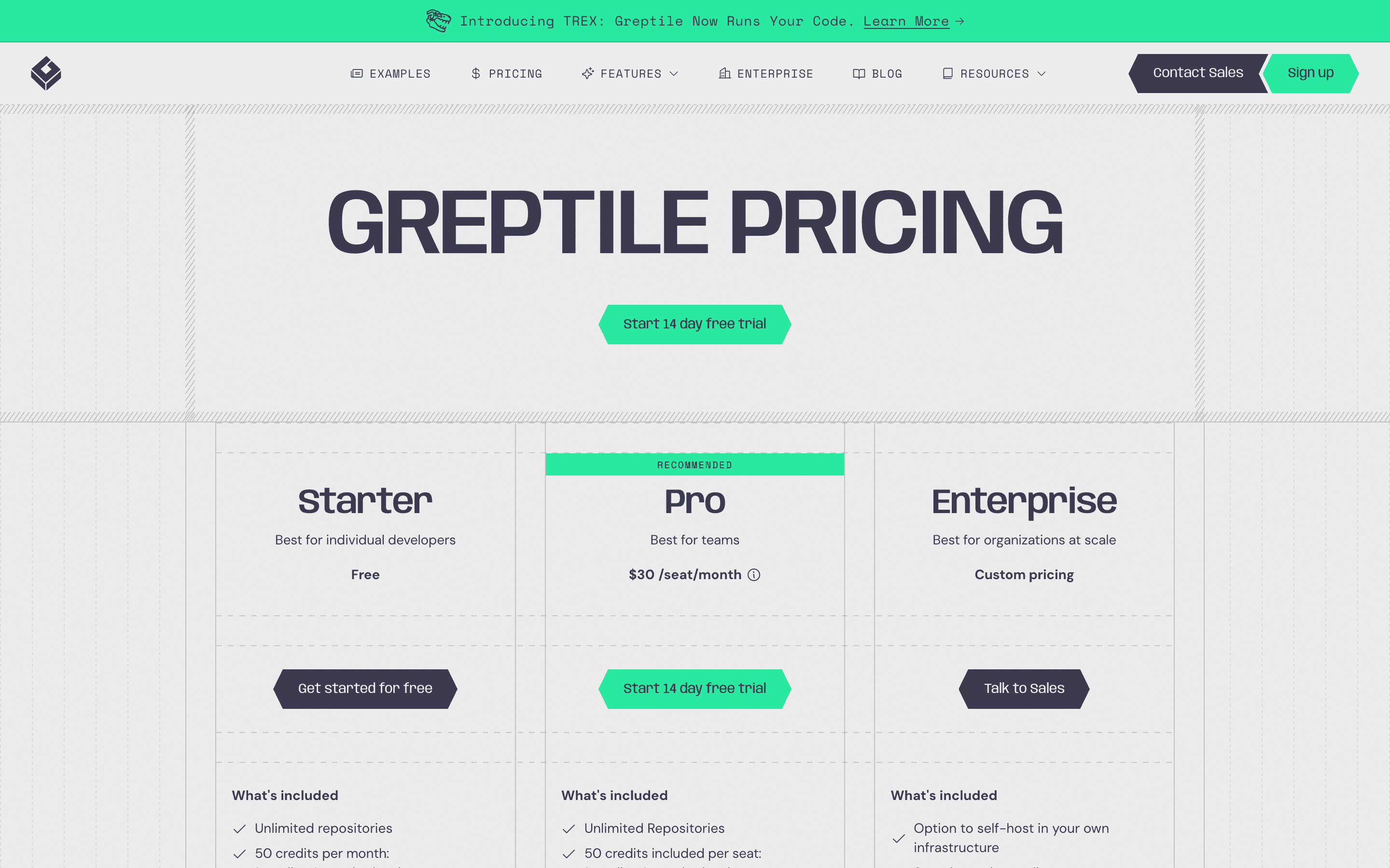 Greptile pricing