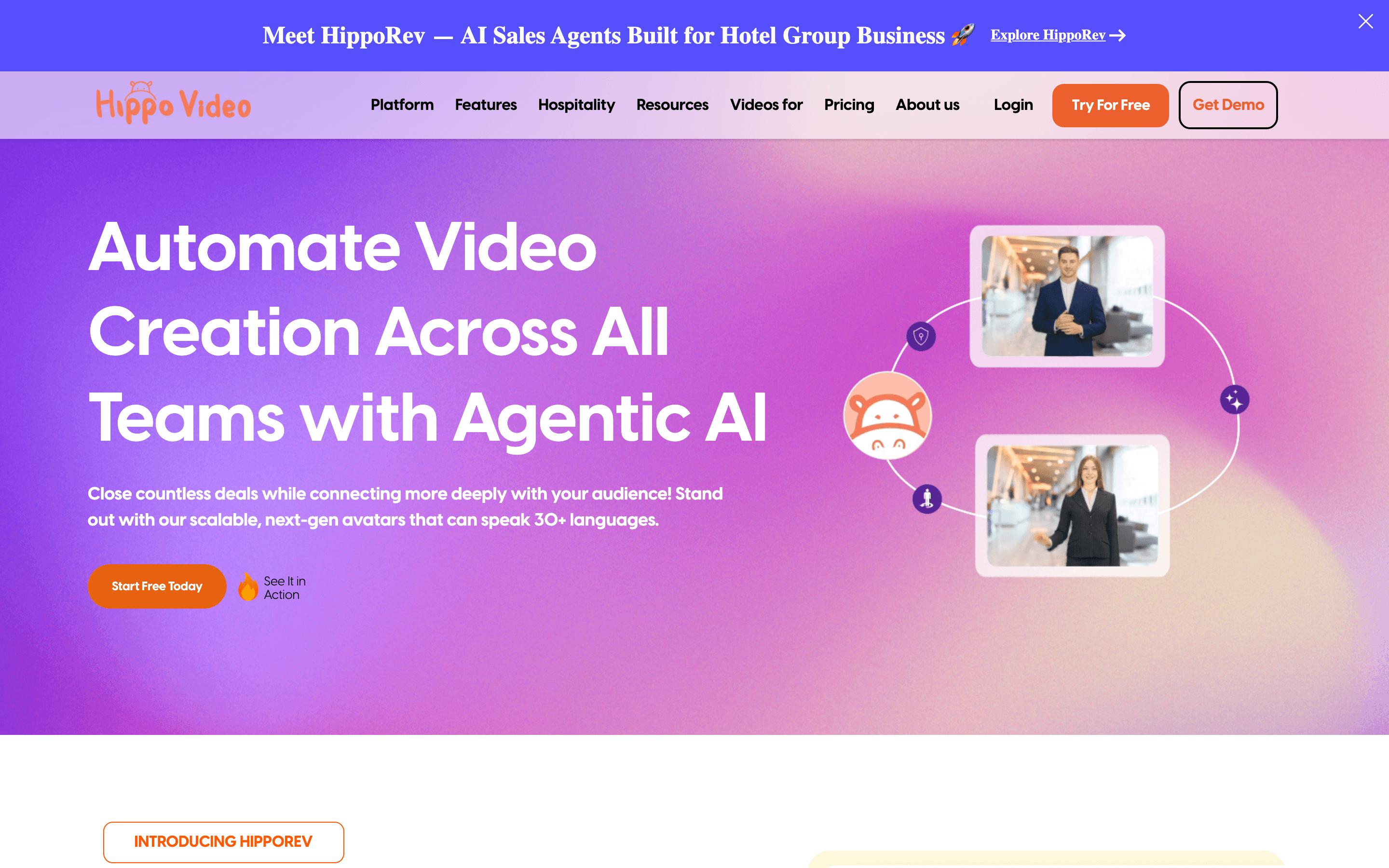 Hippo Video homepage