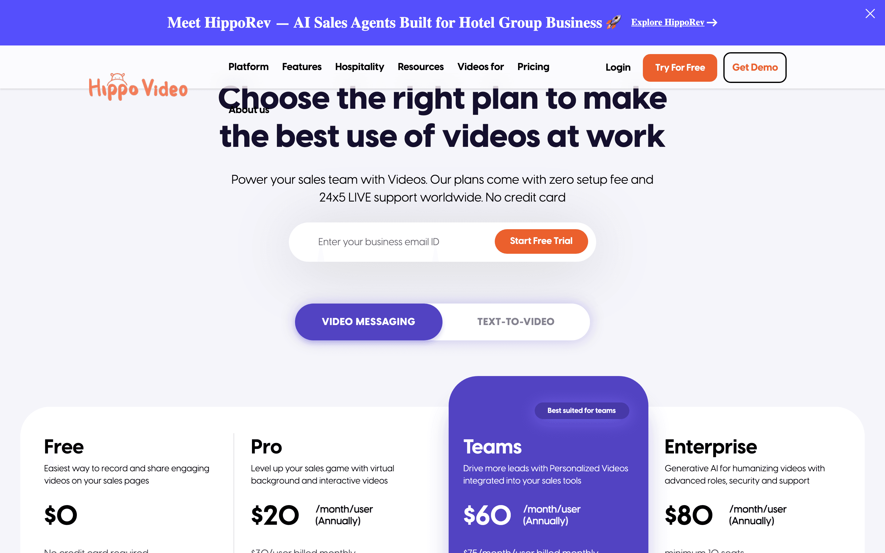 Hippo Video pricing