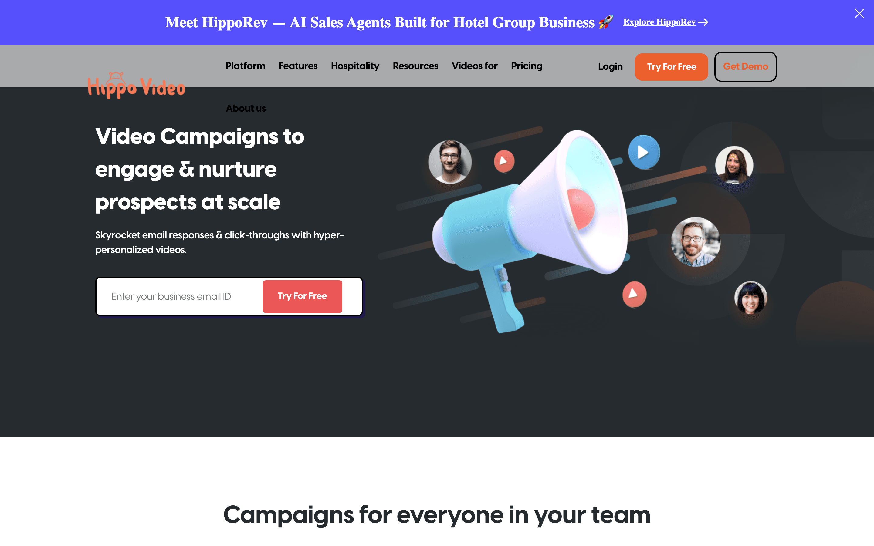 Hippo Video: Video campaigns html